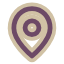 Icon Pin